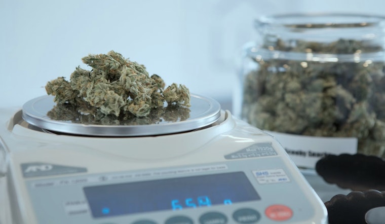 California Governor Newsom Nips Cannabis Cafe Bill in the Bud, What Does This Mean for LA?