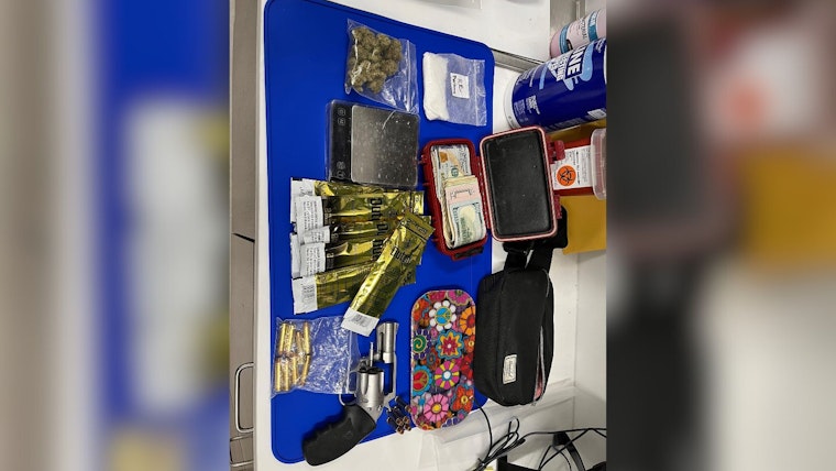 Rash of Crimes in Carlsbad and Irvine Lead to Multiple Arrests, Including Drug Charges and Officer Assaults