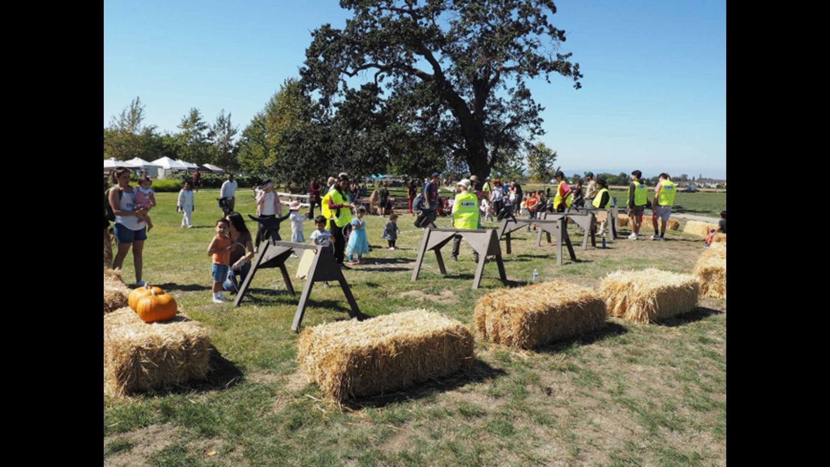 Celebrate Agriculture and Family Fun at the 7th Annual Fall Festival