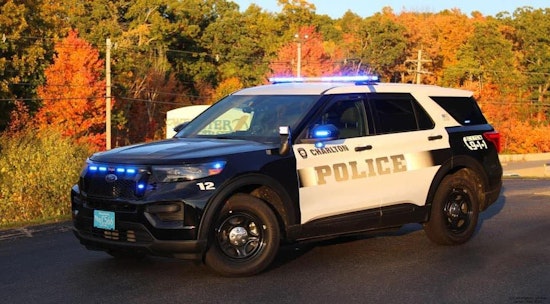 Charlton Police Search for Hit-and-Run Driver Suspected of Striking Dog