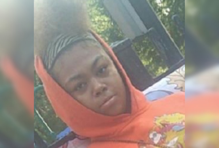 Chicago Authorities Launch Search for Missing 14-Year-Old Teen