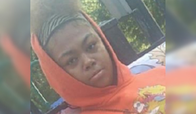 Chicago Authorities Launch Search for Missing 14-Year-Old Teen