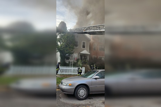 Chicago Fire Department Battles Blaze, Saving Lives and Pets on N Racine