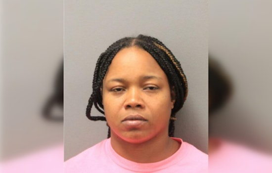 Chicago Woman Charged with Vehicular Assault in Alleged Road Rage Incident