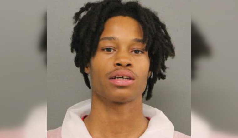 Chicago's 20-Year-Old Andre Holland Charged with Attempted Murder