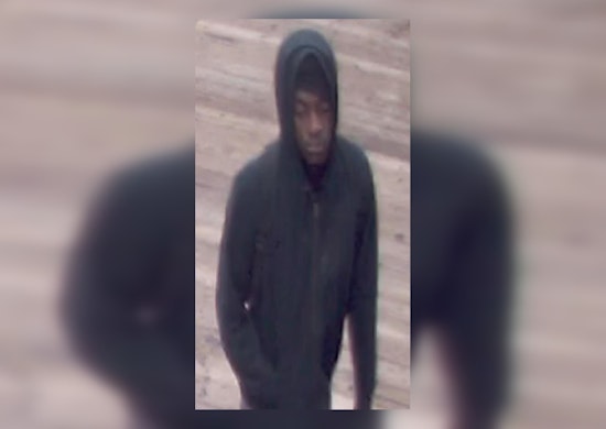 Chicago's Green Line Cottage Grove Stop Rocked by Violent Armed Robbery: Police Seek Public's Help in Identifying Suspect