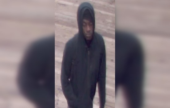 Chicago's Green Line Cottage Grove Stop Rocked by Violent Armed Robbery: Police Seek Public's Help in Identifying Suspect
