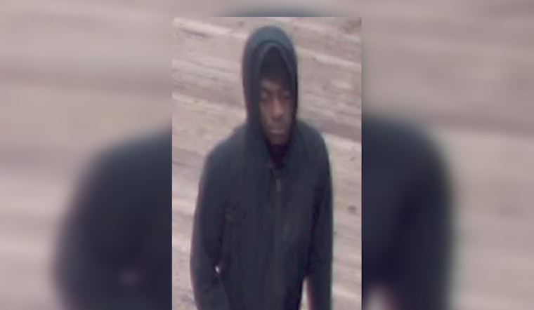 Chicago's Green Line Cottage Grove Stop Rocked by Violent Armed Robbery: Police Seek Public's Help in Identifying Suspect