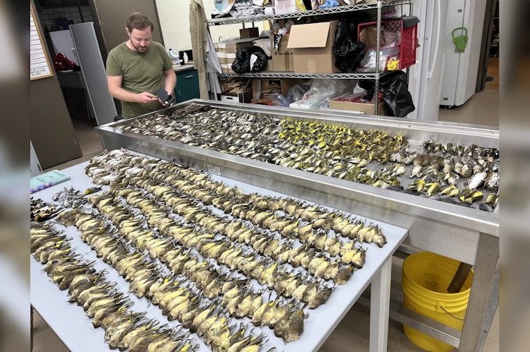 Chicago's McCormick Place Darkens Building to Save Migrating Birds