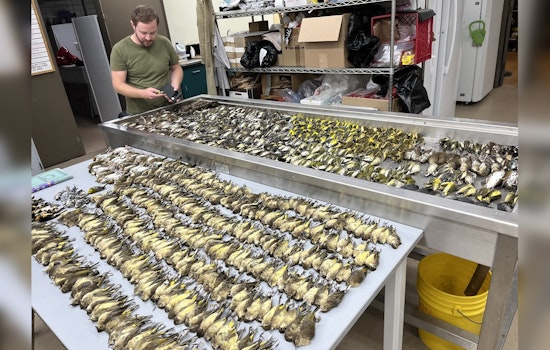 Chicago's McCormick Place Darkens Building to Save Migrating Birds