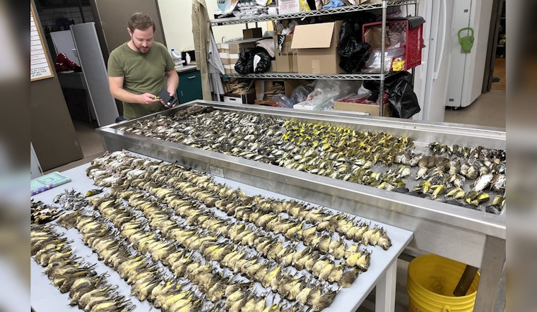 Chicago's McCormick Place Darkens Building to Save Migrating Birds