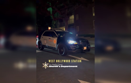 Crime Wave Hits West Hollywood: Vehicle Thefts, Hate Crimes, and Burglaries
