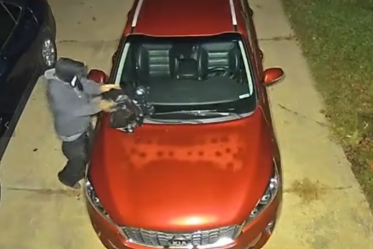 Tewksbury Citizen Finds Dead Raccoon on Windshield, Cops Hunt for Suspect