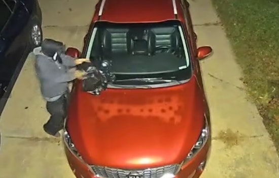 Tewksbury Citizen Finds Dead Raccoon on Windshield, Cops Hunt for Suspect