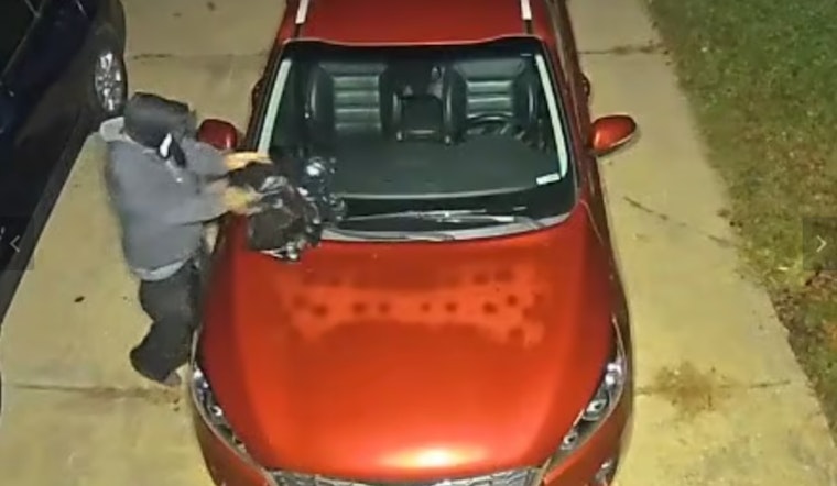Tewksbury Citizen Finds Dead Raccoon on Windshield, Cops Hunt for Suspect