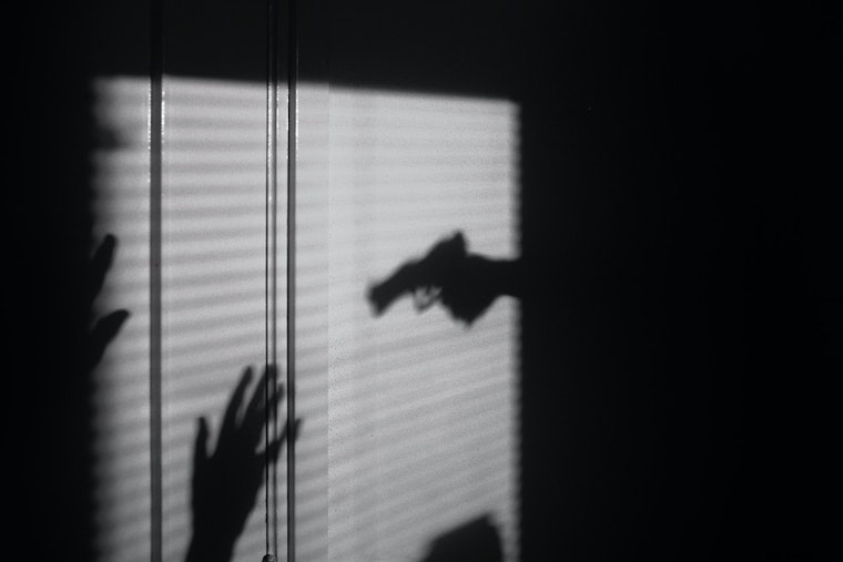 Domestic Violence Homicides Remain High in Illinois: 57 Lives Lost in 2022