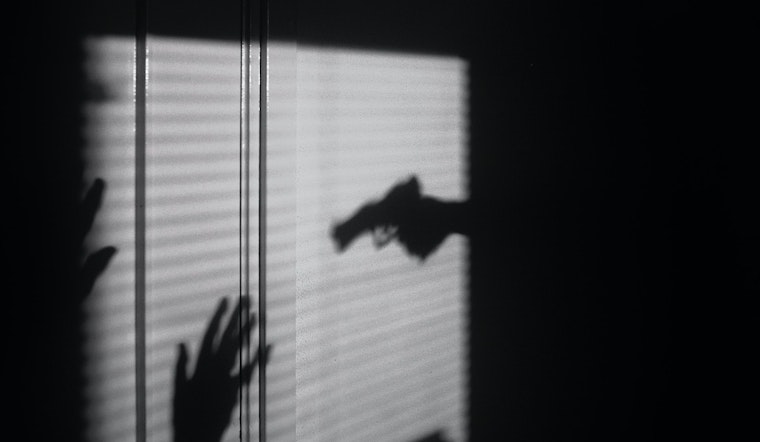 Domestic Violence Homicides Remain High in Illinois: 57 Lives Lost in 2022