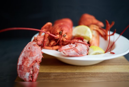 Domoic Acid Levels Drop, Granting Green Light for Safe Lobster Consumption Along California Coast