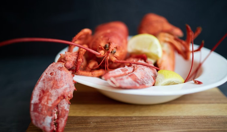Domoic Acid Levels Drop, Granting Green Light for Safe Lobster Consumption Along California Coast