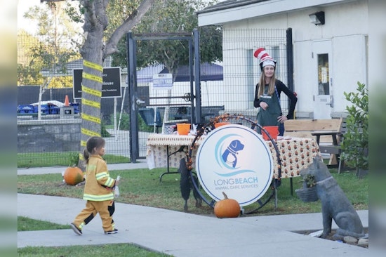 El Dorado Nature Center in Long Beach and LBACS Promote Pet Adoption and Environmental Education as Part of the Howl-o-ween Festival