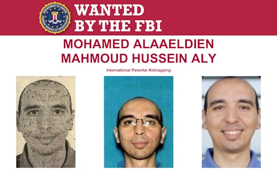 FBI Hunts for Los Angeles Man Accused of International Parental Kidnapping, Last Seen in Cairo