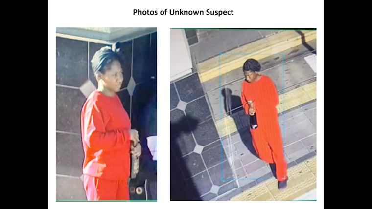 Female Suspect Wanted in the San Diego Stabbing Incident Inside a MTS Trolley Car