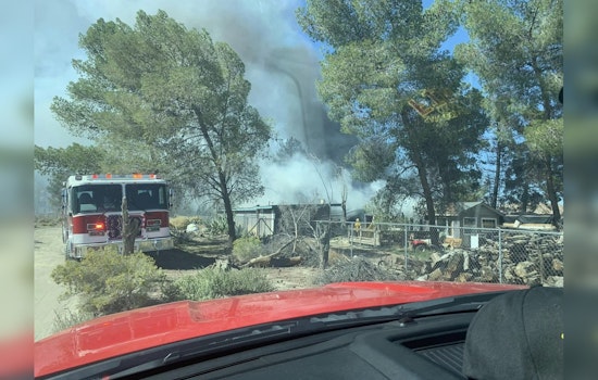 Firefighters Battle Blaze and Discover Cannabis Plants in San Bernardino County Trailer Fire
