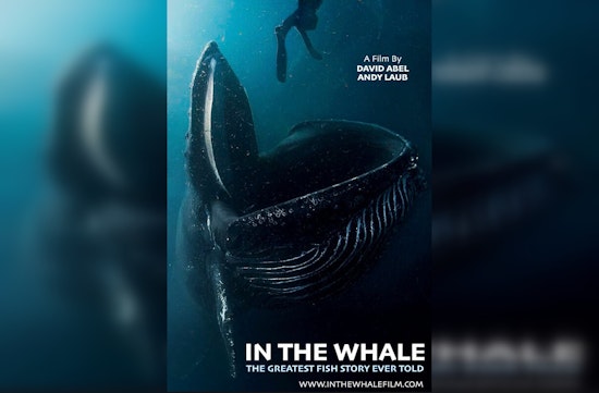 From the Jaws of a Whale: Lobster Diver's Encounter Becomes Cape Cod Documentary