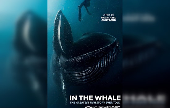 From the Jaws of a Whale: Lobster Diver's Encounter Becomes Cape Cod Documentary