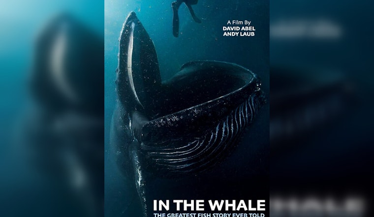 From the Jaws of a Whale: Lobster Diver's Encounter Becomes Cape Cod Documentary