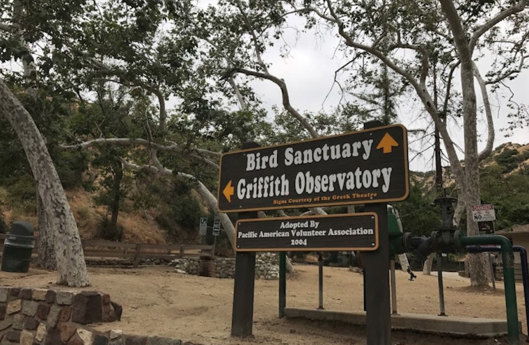 Griffith Park Rescue: Senior Hiker Saved