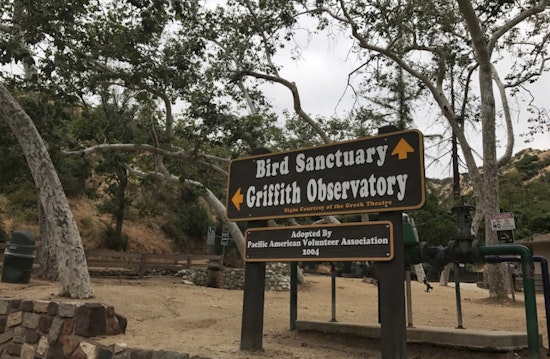 Griffith Park Rescue: Senior Hiker Saved