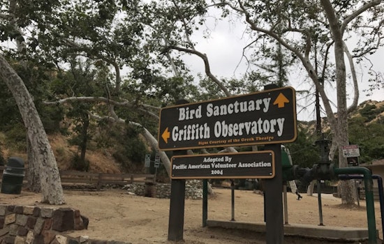 Griffith Park Rescue: Senior Hiker Saved