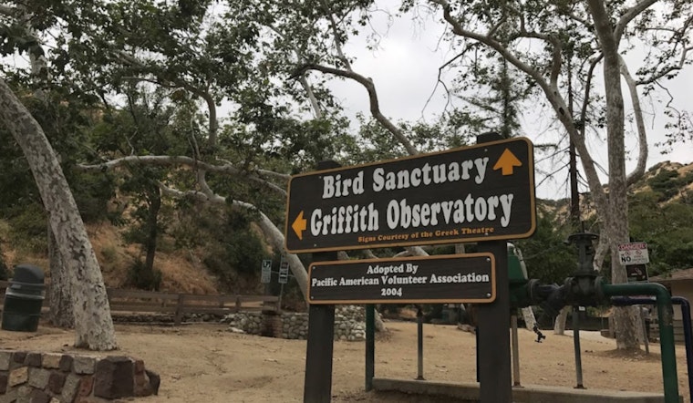 Griffith Park Rescue: Senior Hiker Saved