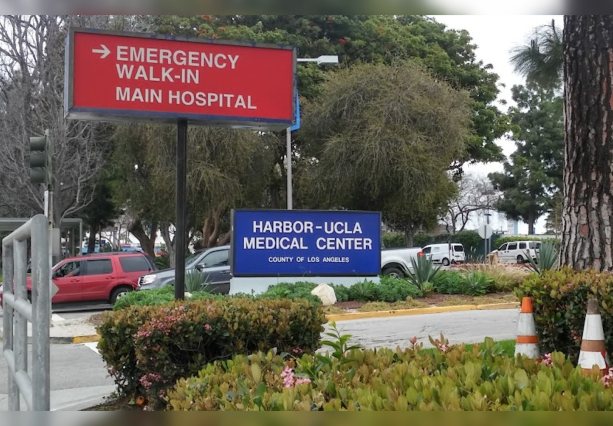 Harbor Ucla Medical Center Faces Lawsuit Over Alleged Sexual 