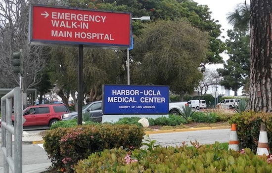 Harbor-UCLA Medical Center Faces Lawsuit Over Alleged Sexual Harassment and Misconduct by Former Department Head