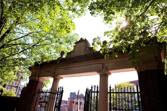 Harvard Forms Task Force to Aid Doxxed Students After Anti-Israel Letter Controversy