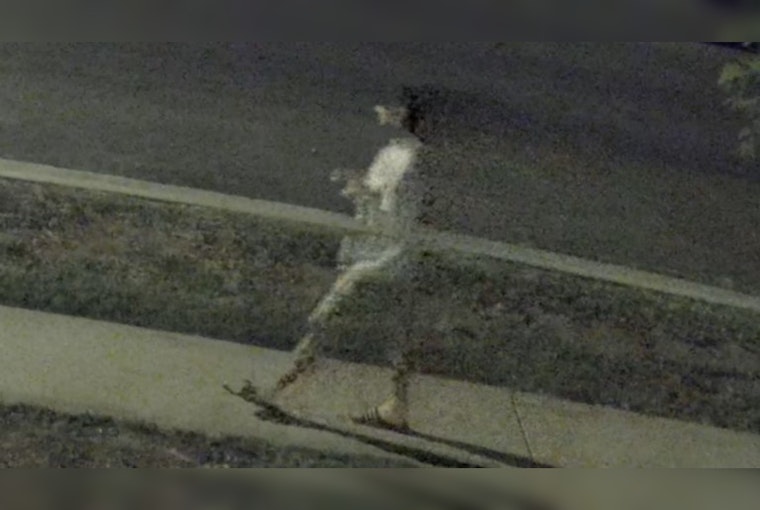 LAPD Makes Arrest in Topanga Arson, Continuing Probe into Possible Hate Crime