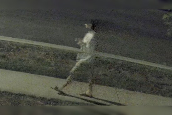 LAPD Makes Arrest in Topanga Arson, Continuing Probe into Possible Hate Crime