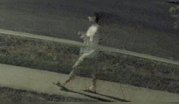 LAPD Makes Arrest in Topanga Arson, Continuing Probe into Possible Hate Crime