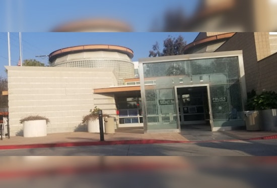 Accidental Shotgun Discharge by LAPD Officer