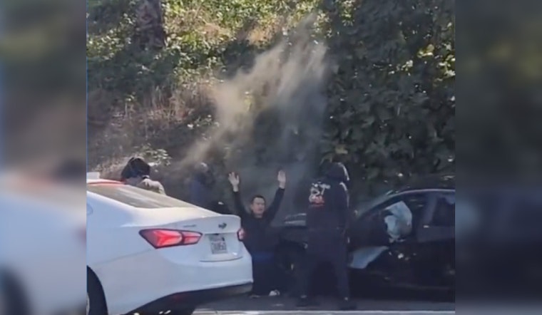 Shocking Video: Terrifying Moment Thieves Purposefully Crash to Rob Driver in Los Angeles