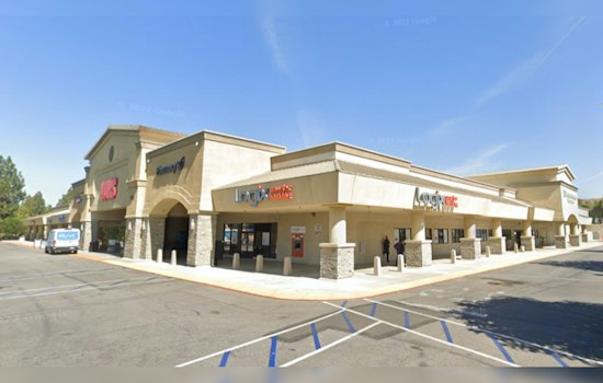 Maldonado and Williams, a Simi Valley Duo, Busted in Organized Retail Theft