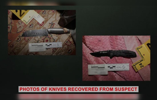 Bodycam Video Captures Deadly Sibling Stabbing: Accused Brother Faces Murder Charges in Gruesome Lake Forest Attack