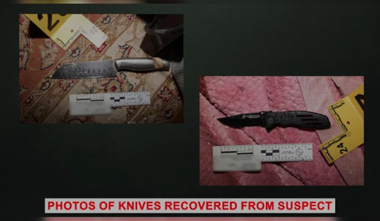 Bodycam Video Captures Deadly Sibling Stabbing: Accused Brother Faces Murder Charges in Gruesome Lake Forest Attack