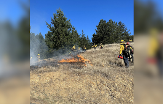 Marin County Fire Department Conducts Prescribed Burn to Mitigate Wildfire Risks Near Stinson Beach and Mill Valley
