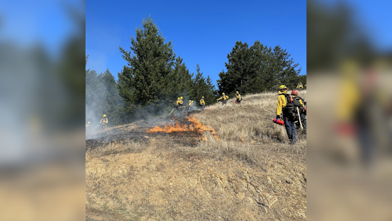 Marin County Fire Department Conducts Prescribed Burn to Mitigate Wildfire Risks Near Stinson Beach and Mill Valley
