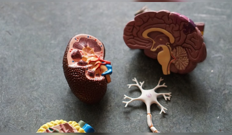 Mass General and Mass Eye and Ear Researchers Develop Promising Alzheimer's Antibody Therapy in Boston
