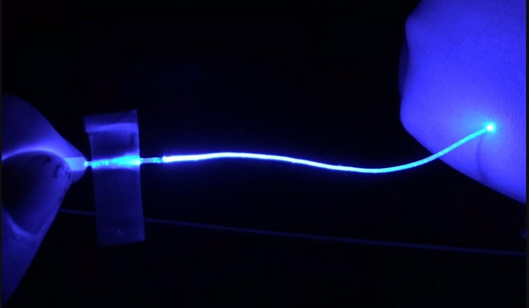 MIT Revolutionizes Nerve Disorder Research with Soft Optical Fibers for Light Therapy