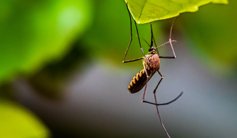 Moreno Valley Launches Mosquito Control Operation to Combat West Nile Virus Outbreak
